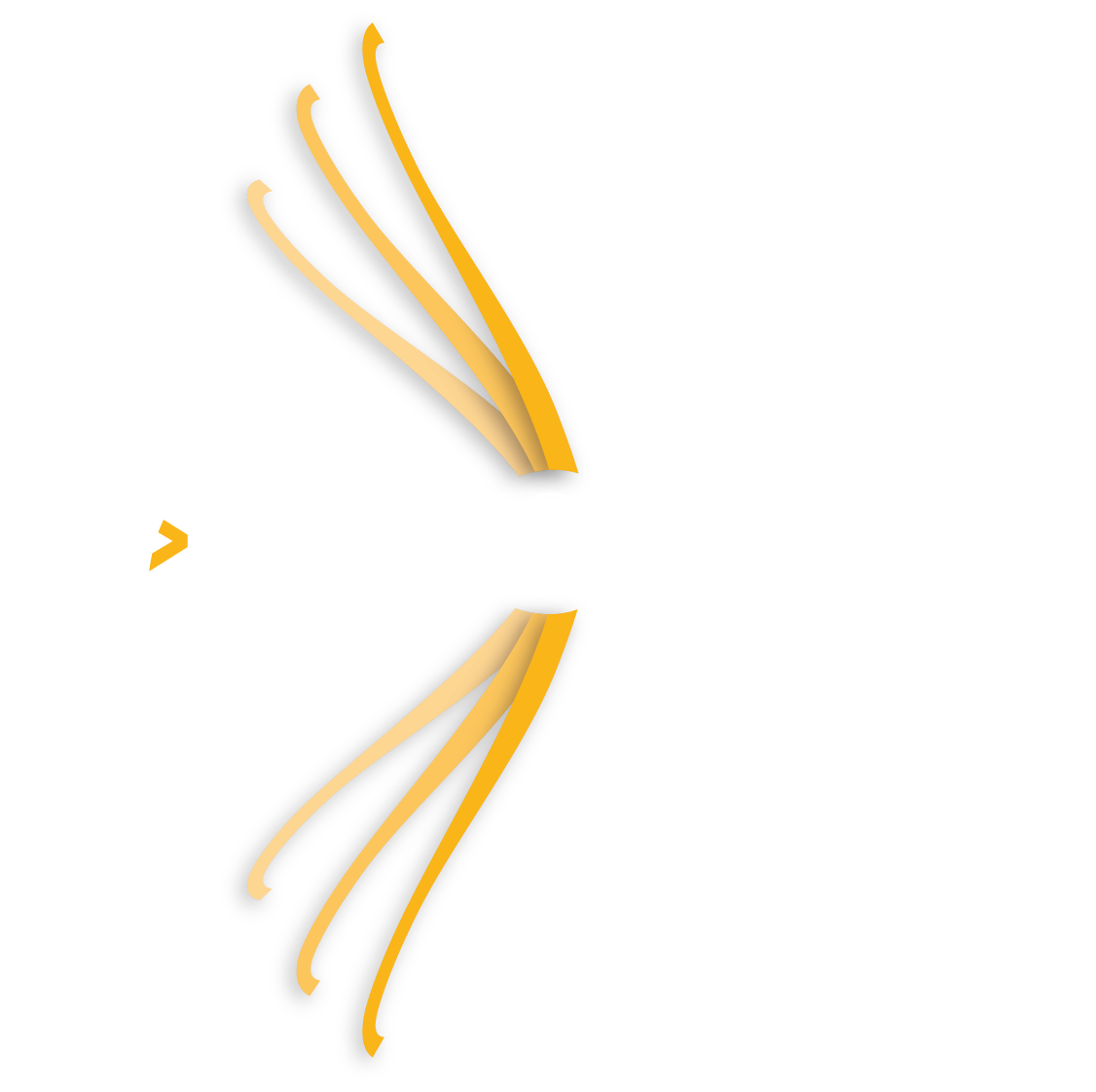 N7 Consulting